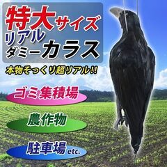 カラスよけ 特大 リアル ダミー  撃退 吊るすだけ 43cm の画像