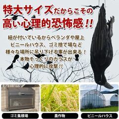 カラスよけ 特大 リアル ダミー  撃退 吊るすだけ 43cm の画像