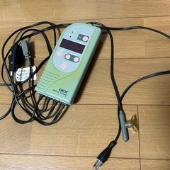 爬虫類　サーモスタット
