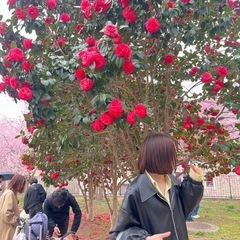 肩上〜ミニボブカットモデル募集（3cm以上カット可能な方のみ）