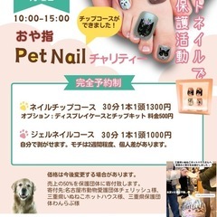2025年6月2日(月)【予約制】ペットのネイルチップ🐶😸…