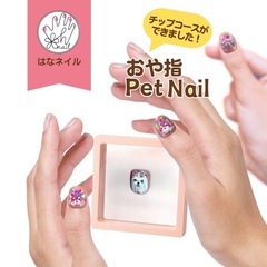 2025年6月2日(月)【予約制】ペットのネイルチップ🐶😸…