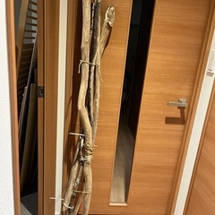 流木　約150cm　