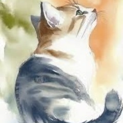 勉強仲間〜✨無言通話🌸作業通話ともだち - 渋谷区
