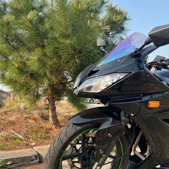 Ninja250Rの画像