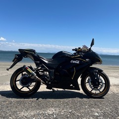 Ninja250Rの画像