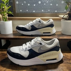 Nike air max