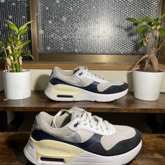 Nike air maxの画像