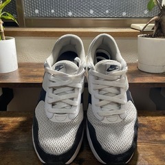 Nike air maxの画像
