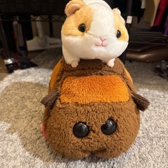 モルカー モルモット 人形