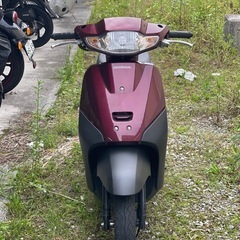 AF79 50cc
