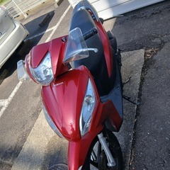 ホンダ ディオ110ccの画像