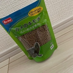 亀のエサ