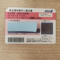 ANA株主優待券　1枚 有効期限　2025/5/31