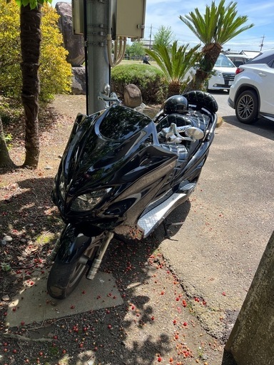 マジェスティー250cc黒❗️