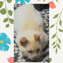 【大至急】幸せにしてあげてください