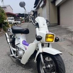 シャリー　カスタム　50cc 滋賀県