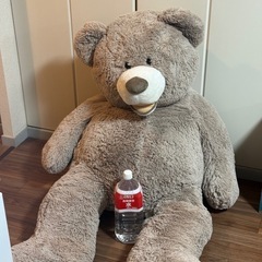 クマぬいぐるみ デカイ