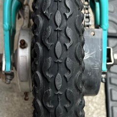 人気カラーLOUISGARNEAU ルイガノ LGS-J12 12inchの画像