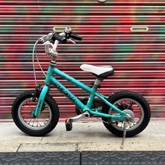 人気カラーLOUISGARNEAU ルイガノ LGS-J12 12inchの画像