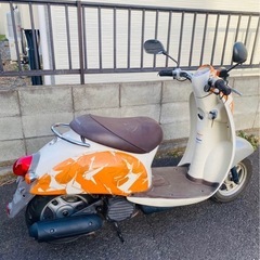 HONDA Scoopy AF55 ホンダ　スクーピー　原付　バ...