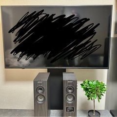 50インチテレビ【ジャンク】の画像
