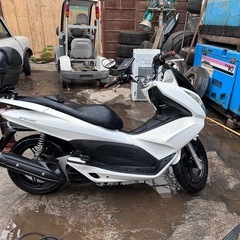 ホンダPCXJF28
