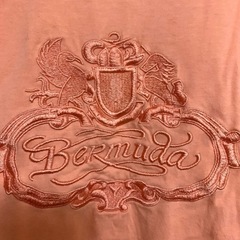 ★ オレンジ 前 フロント 刺繍 Tシャツ ★の画像