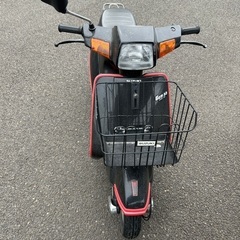 ジェンマ(スズキ)