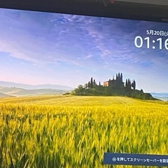 引き取り決定しました。の画像