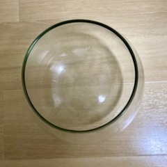 ジェックス GEX AQUARIUM グラスアクア ティアー-N アクアリウム 小型水槽 水草 テラリウムの画像