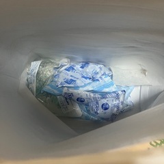 保冷バックと保冷剤　購入予定者決定の画像