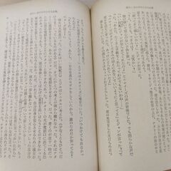 『冷たい水の中の小さな太陽』サガン　新潮文庫の画像
