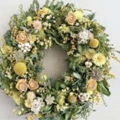 クラスペディア　hjaの画像