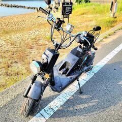 HONDA bite 実働 50cc 原付 希少車 お洒落スクーター