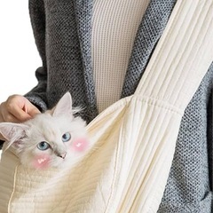 猫　キャリーバッグ　バッグ　