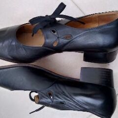 オルガンシューズの画像