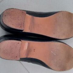 オルガンシューズの画像