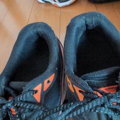 バレーボールシューズ　asics　25.0の画像
