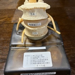 解剖学の中古が安い！激安で譲ります・無料であげます｜ジモティー