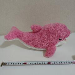 イルカ　ぬいぐるみの画像