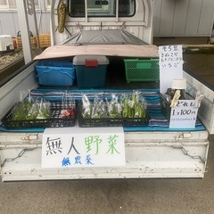 無人100円野菜
の画像