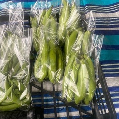 無人100円野菜
の画像