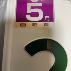 アプリリアスカラベオ250I 整備士によるフルメンテ済みの画像