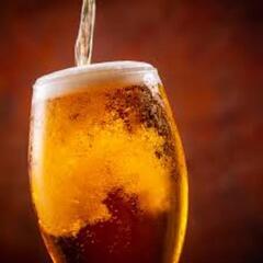 本日 5月20日 5/20 火曜日 16時以降 ビール