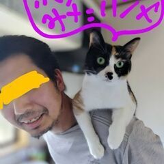 私達とホタル見に行きませんか？