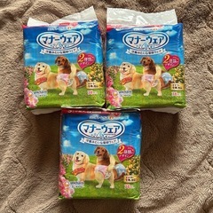 犬用　マナーウェア　おむつ