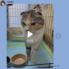 里親さん探しています。