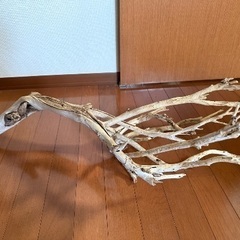 流木