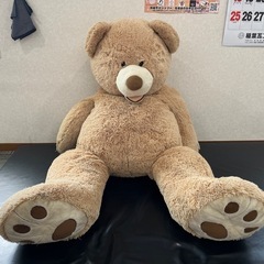 大きなくまのぬいぐるみ🧸